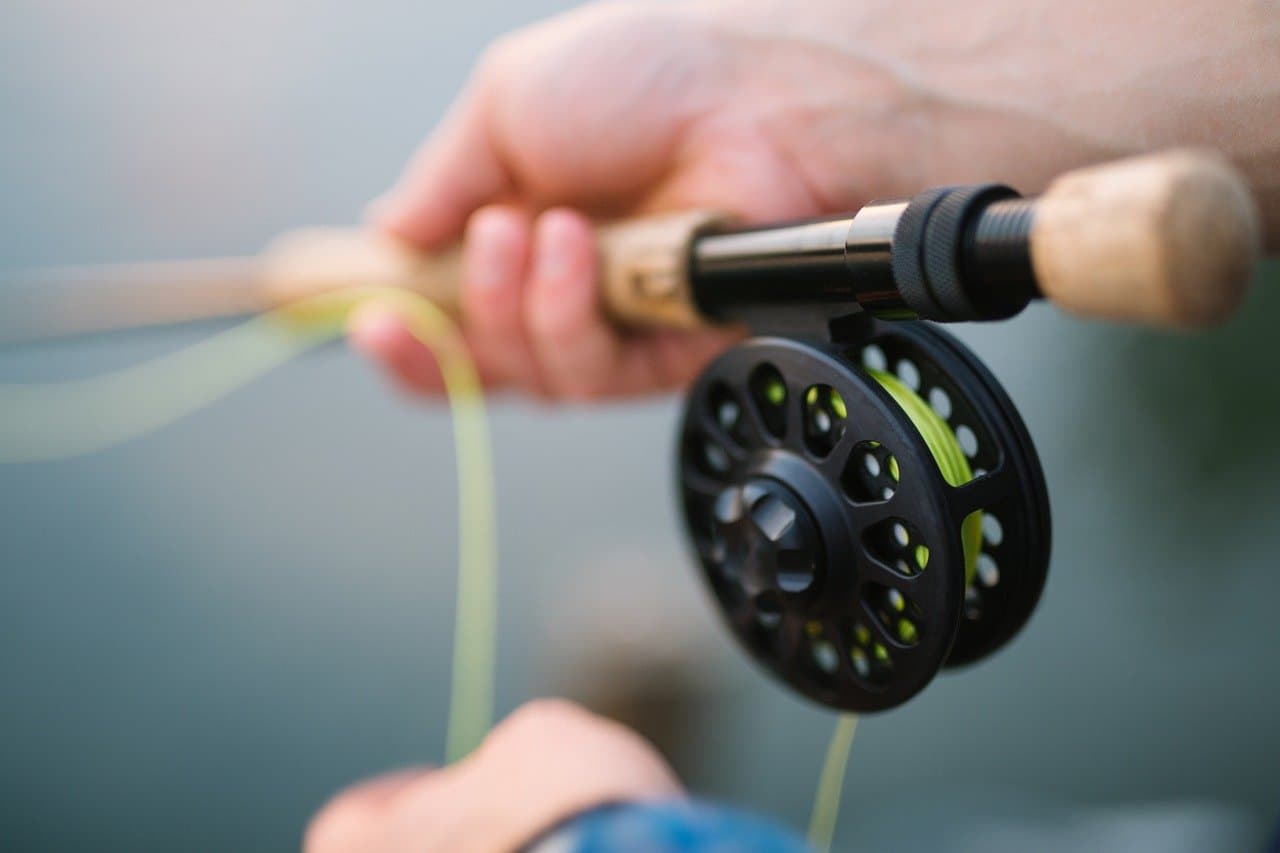 Fishing Dream Meaning and Symbolism SYMBOLS